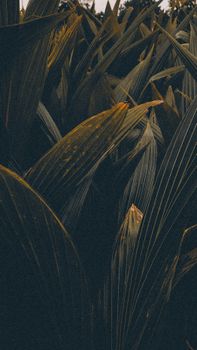 Image by Rohit