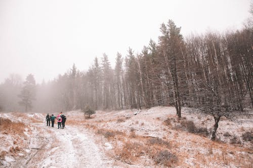 People Walking on Dirt Road 