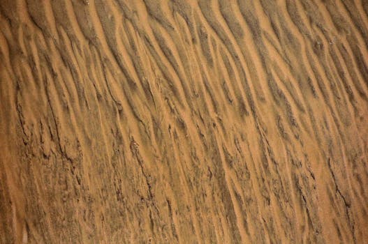 Abstract patterns of wind-eroded sand dunes in the Kuwaiti desert.