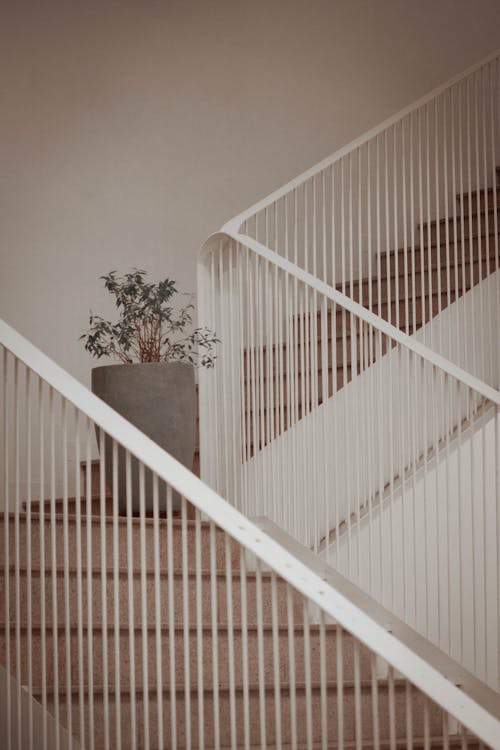 Stairs with White Handrail