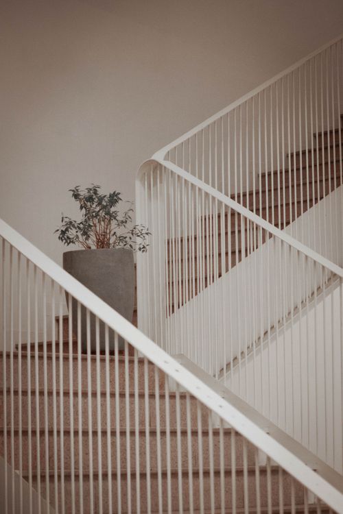 Free Elegant indoor staircase with a modern handrail design and a decorative plant. Stock Photo