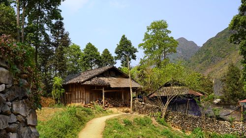 Free Scenic view of a traditional wooden house surrounded by lush green trees and mountains in a rural setting. Stock Photo