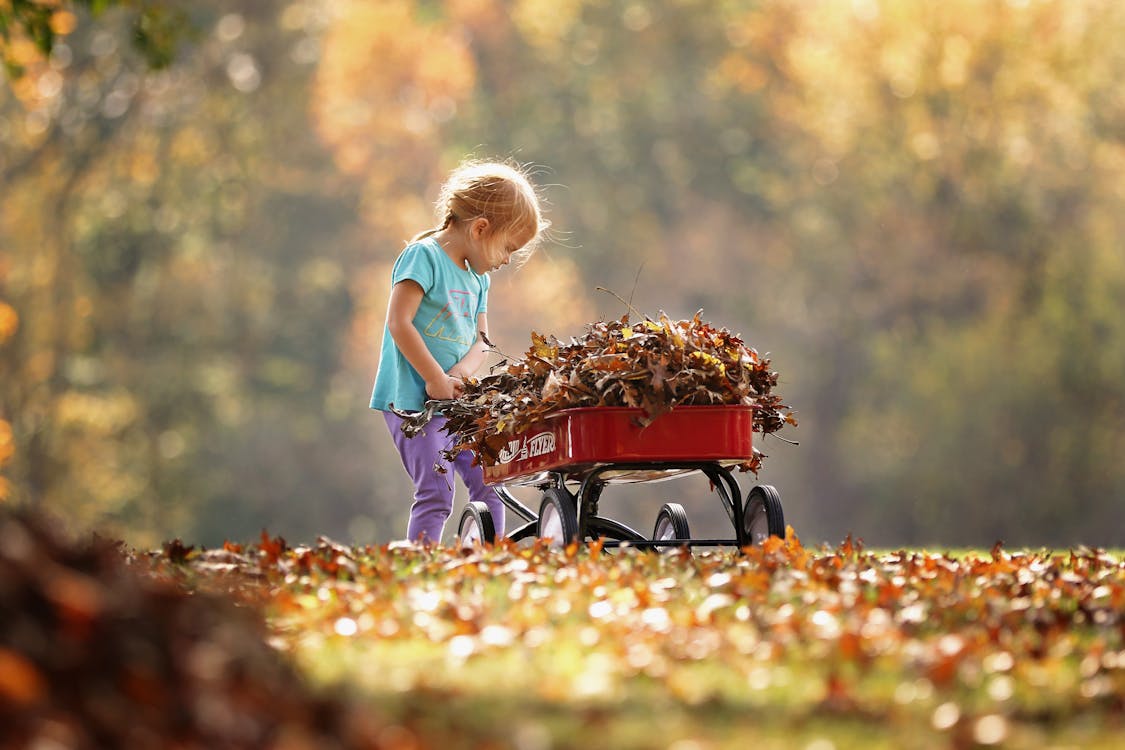 children pushing each other