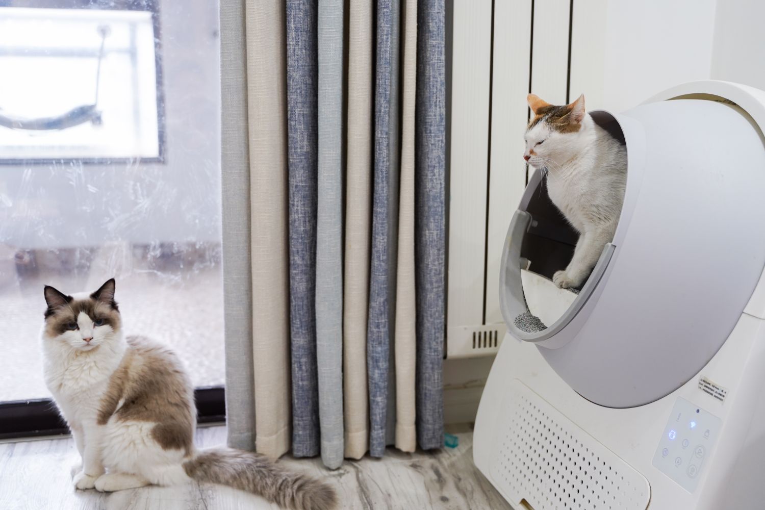 Two cats relaxing near an automated litter box in a modern living room
