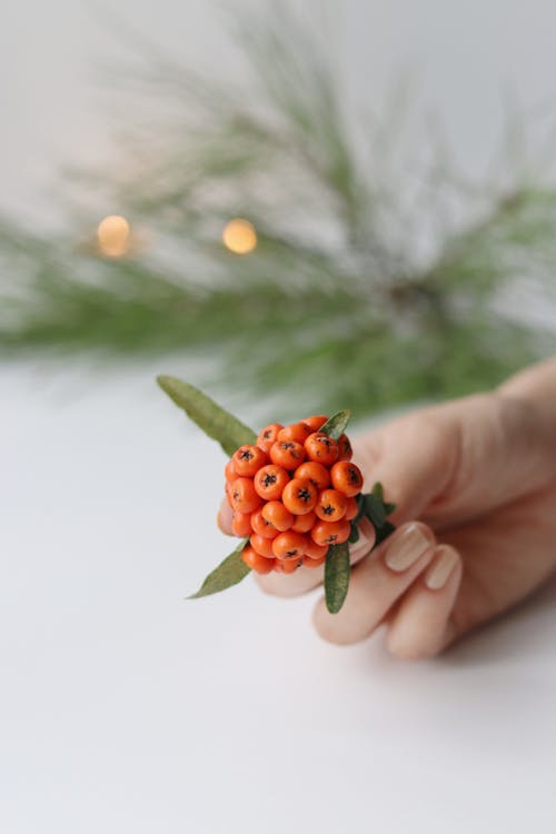 Woman Holding Mountain Ash 