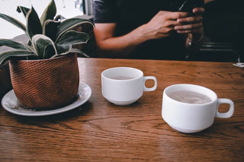 Gratis lagerfoto af café, indendørs plante, smart telefon