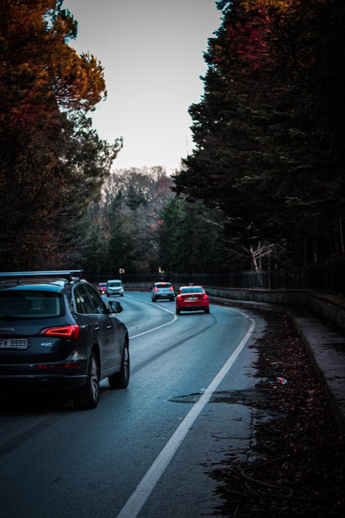 Immagine gratuita di auto, campagna, strada