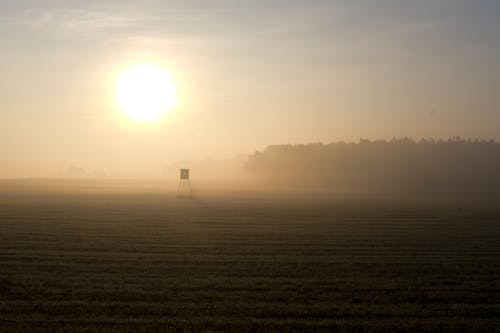 Bezpłatne Darmowe zdjęcie z galerii z mglisty, pole, świt Zdjęcie z galerii