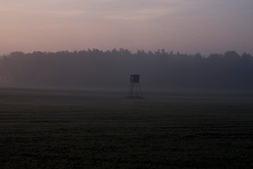 Free A Hunting High Stand on a Foggy Field Near Trees Stock Photo