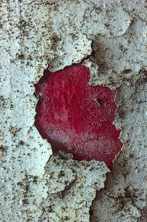 Free stock photo of cracked, dirt, paint