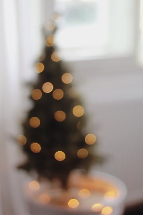 無料 クリスマスツリー, クリスマスの灯り, ボケの無料の写真素材 写真素材