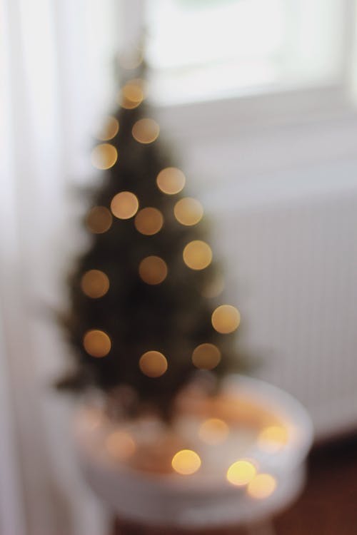 Gratuit Imagine de stoc gratuită din beculețe de crăciun, blur, bokeh Fotografie de stoc