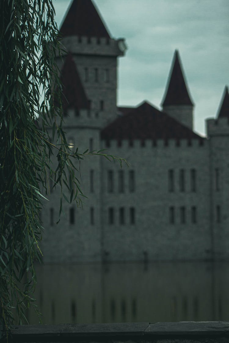 Leaves And Castle