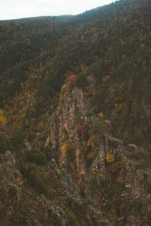 Free A breathtaking view of rugged mountain cliffs covered in autumn foliage. Stock Photo