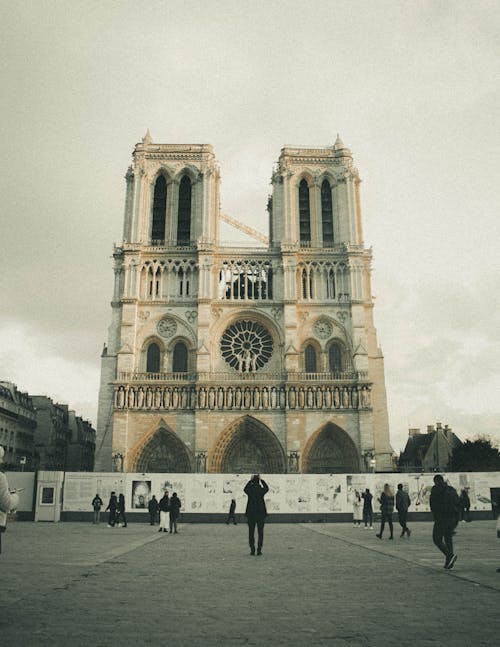 Foto d'estoc gratuïta de antic, catedral, descoratjador