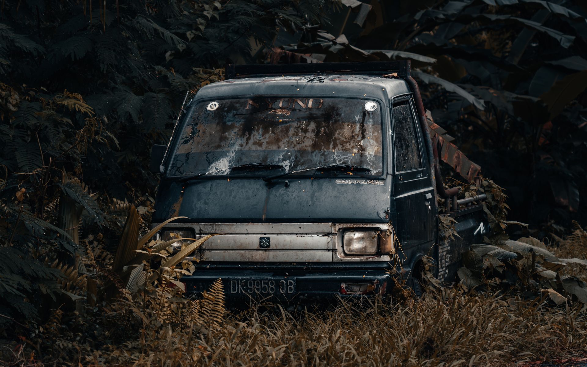Damaged Vehicle Covered with Wild Plants