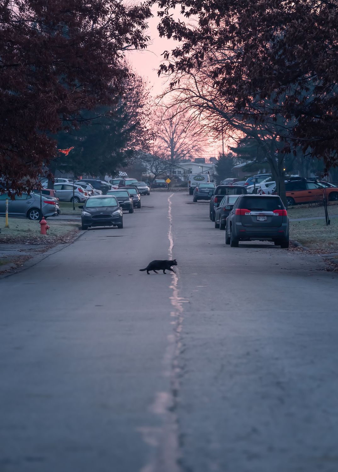 Cars Parked on the Side of the Road · Free Stock Photo