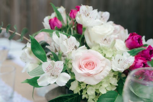 Close-Up Photography of Flowers