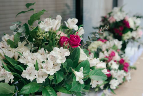 Fotografia De Close Up De Flores Brancas