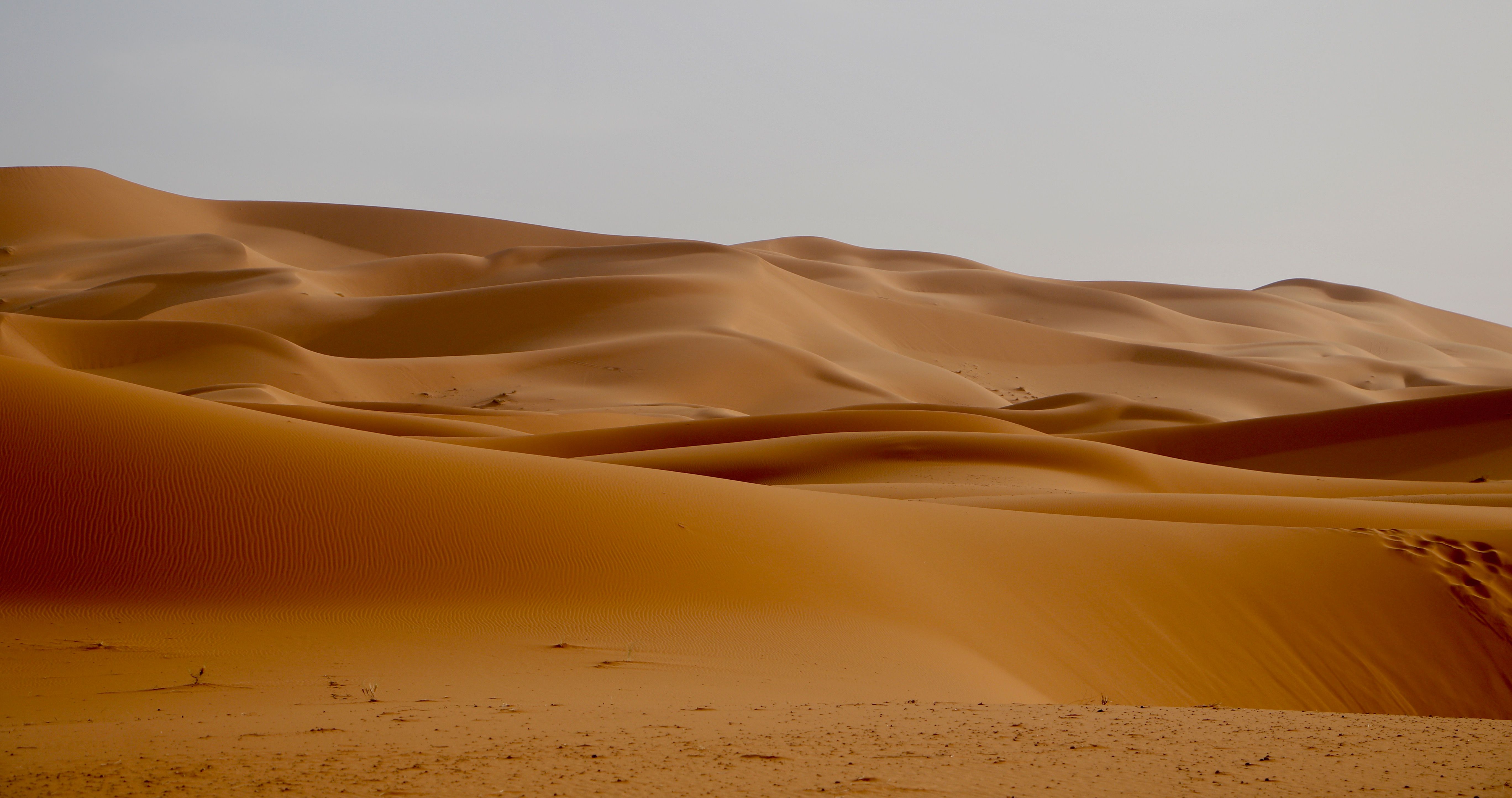 free-stock-photo-of-desert-morocco-sahara