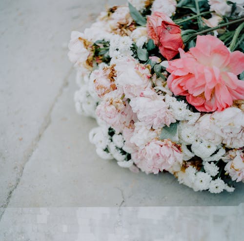 Gratis Fotos de stock gratuitas de de cerca, flora, flores Foto de stock