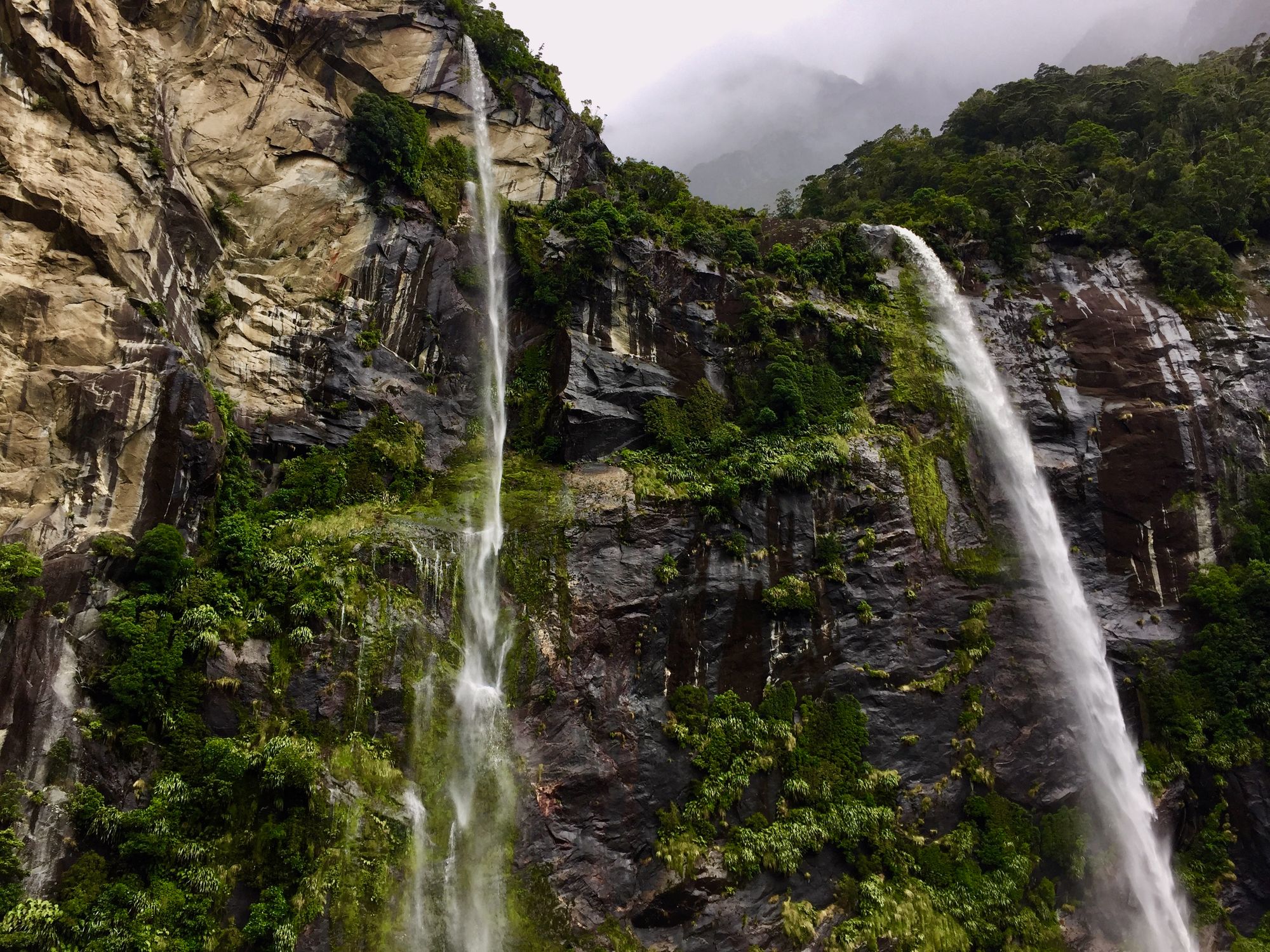 Majestic waterfalls cascading over lush cliffs in New Zealand's scenic wilderness.