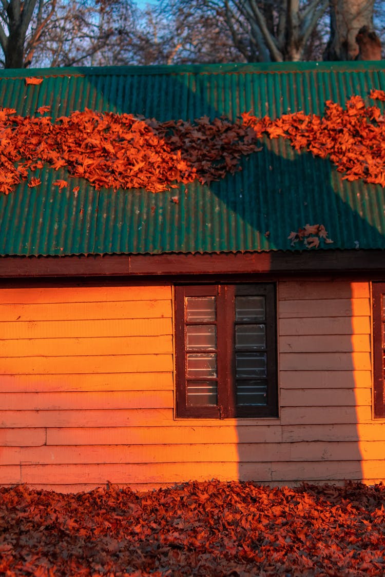 Fallen Leaves On Wooden House 