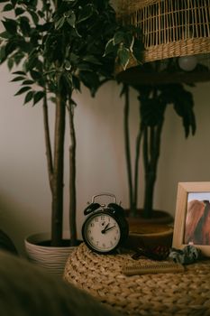 Warm home interior with a vintage alarm clock and lush greenery.