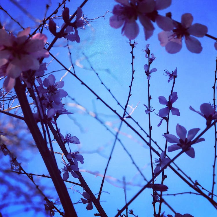 2026年氣象預測革命:科學家如何破解下雨與下雪的即時辨識難題? 2026年氣象預測革命:科學家如何破解下雨與下雪的即時辨識難題?