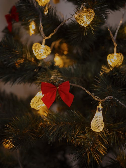 Free Red Ribbon Hanging on a Christmas Tree with Lights Stock Photo