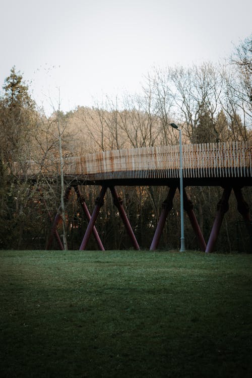 Autumn Landscape with Railway Bridge