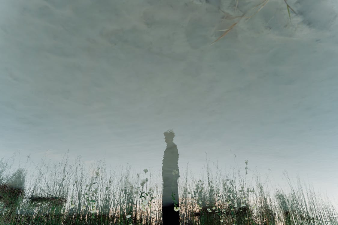 Person Reflection in Pond