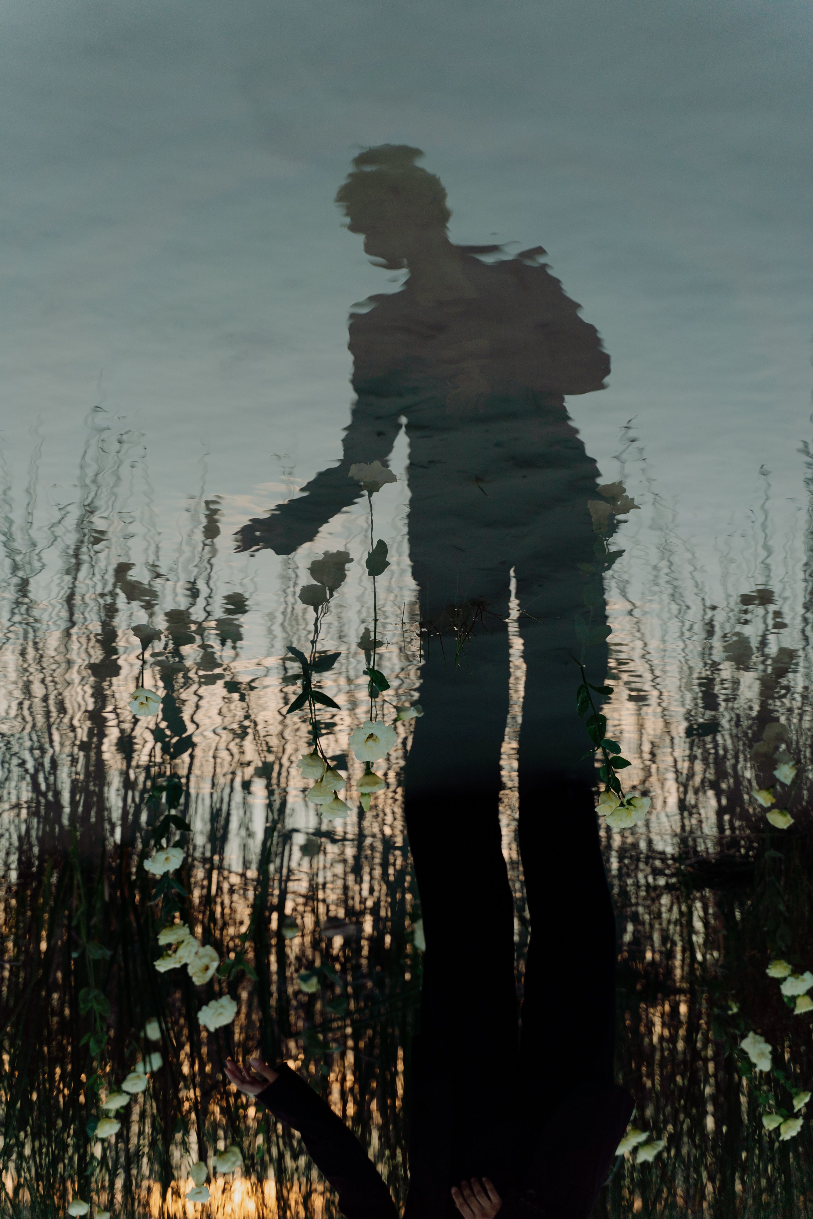 Tall Grass Photos, Download The BEST