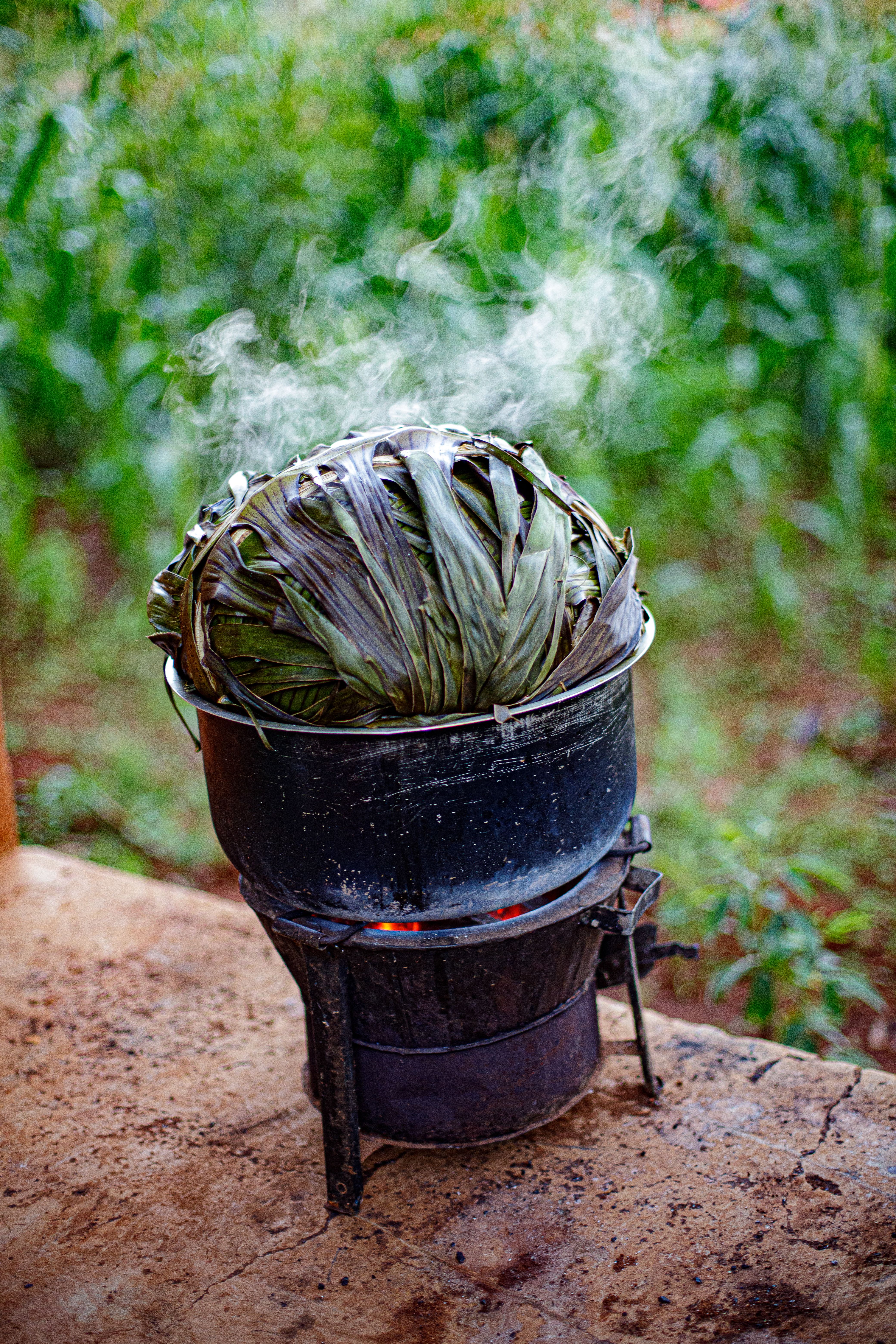 A steaming pot of vegetables outdoors with lush greenery in the background.