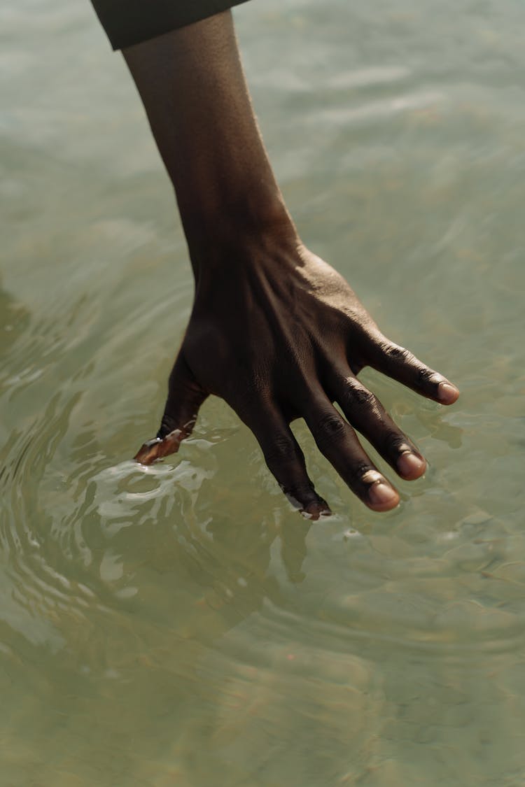 A Hand Soaked  In The Water