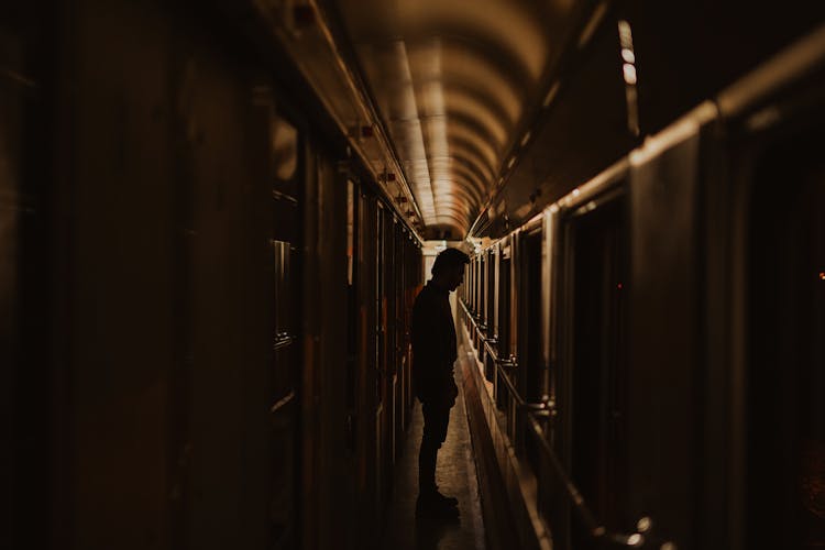 Silhouette Of Man In Passenger Train