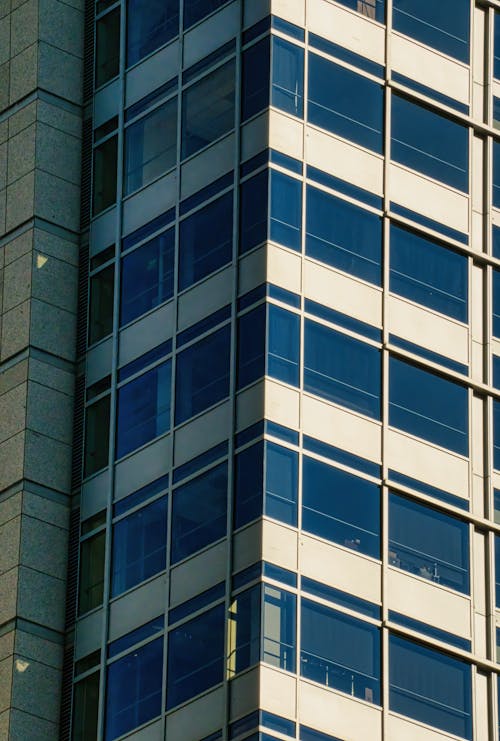 Glass Panel Windows on a High Rise Building