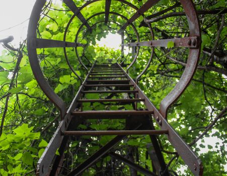 Brown Metal Steep Ladder
