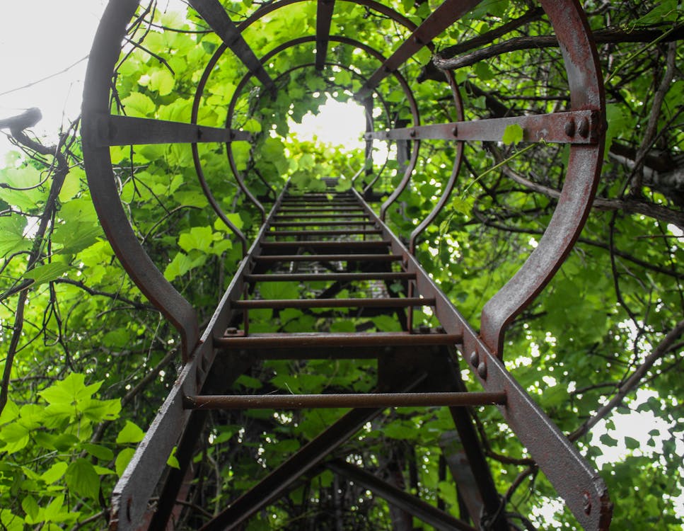 бесплатная Коричневая металлическая крутая лестница Стоковое фото