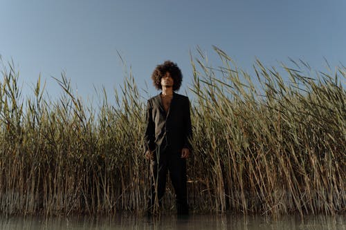 A Man in a Black Suit Standing near Reeds