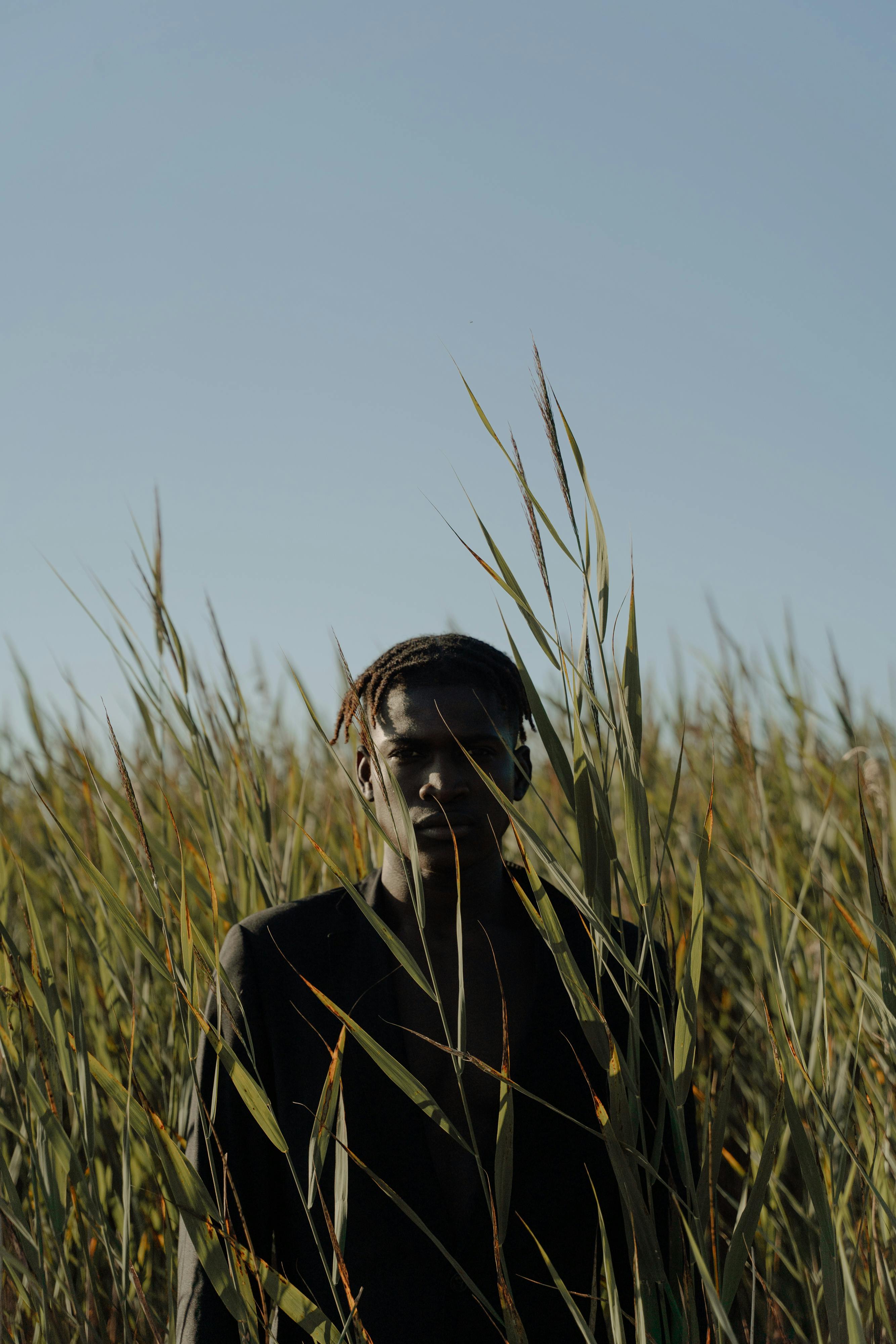 De franc Home Dempeus A L'herba Alta Foto d'estoc