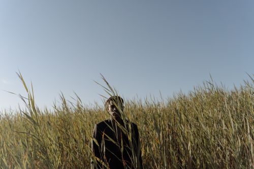 Free A man stands in tall grass with a clear blue sky, capturing a serene outdoors moment. Stock Photo