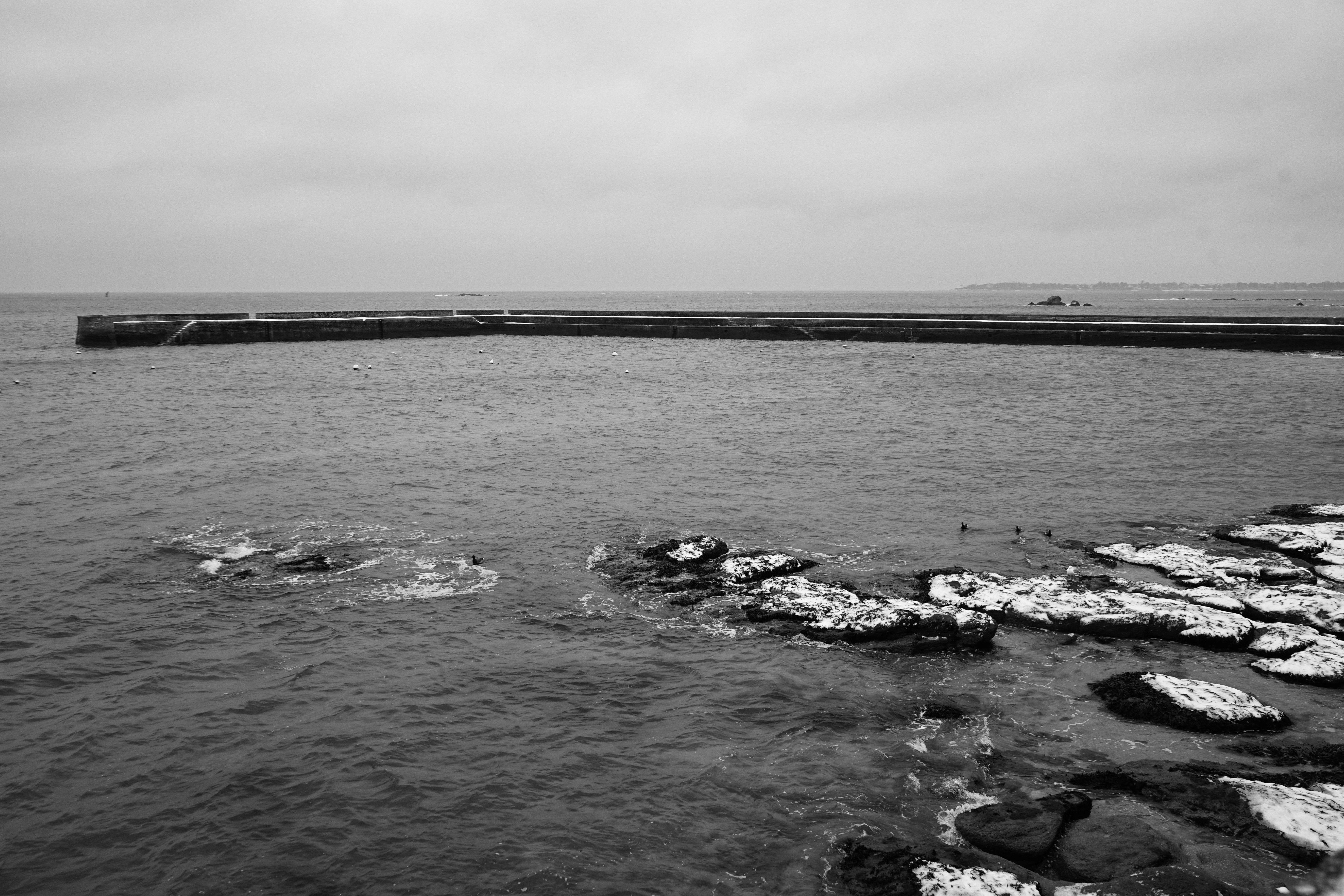 Pier by the Sea in Black and White · Free Stock Photo