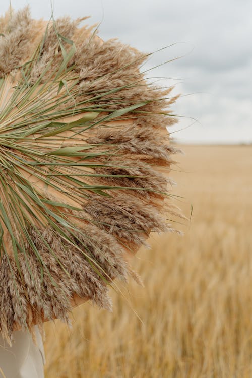 Person With Wheat Umbrella on Field