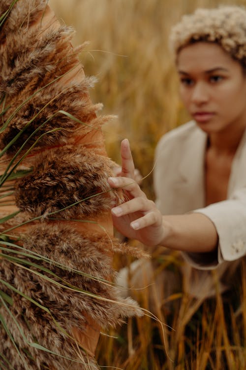 Free Woman in White Long Sleeve Shirt Holding Brown Wheat Stock Photo