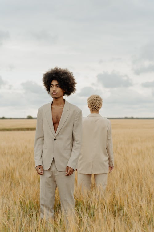 Elegant Models on a Field