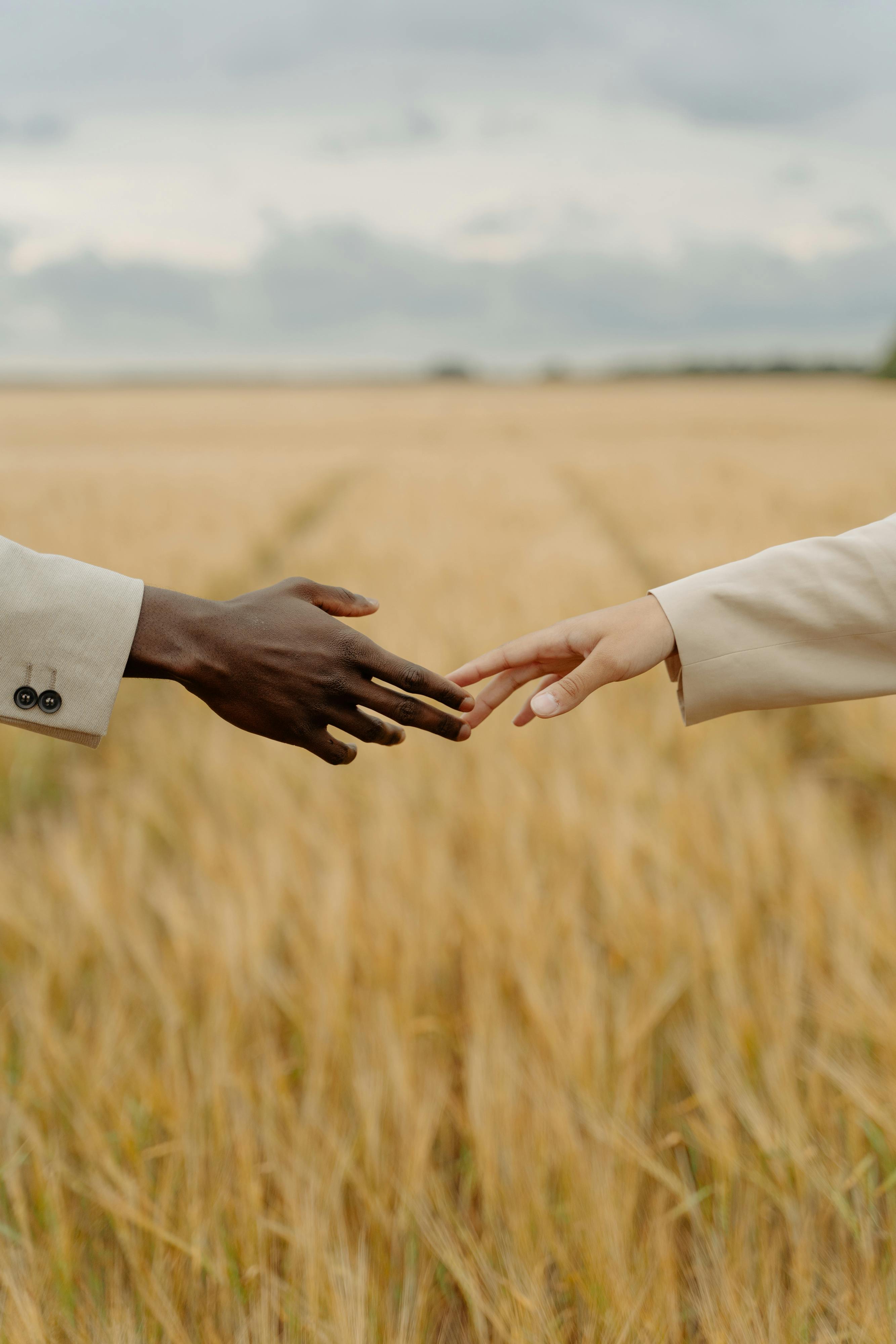 couple holding hands on a field