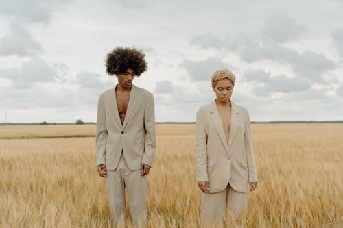 Gratis lagerfoto af afroamerikanske folk, beige kulør, græsmark