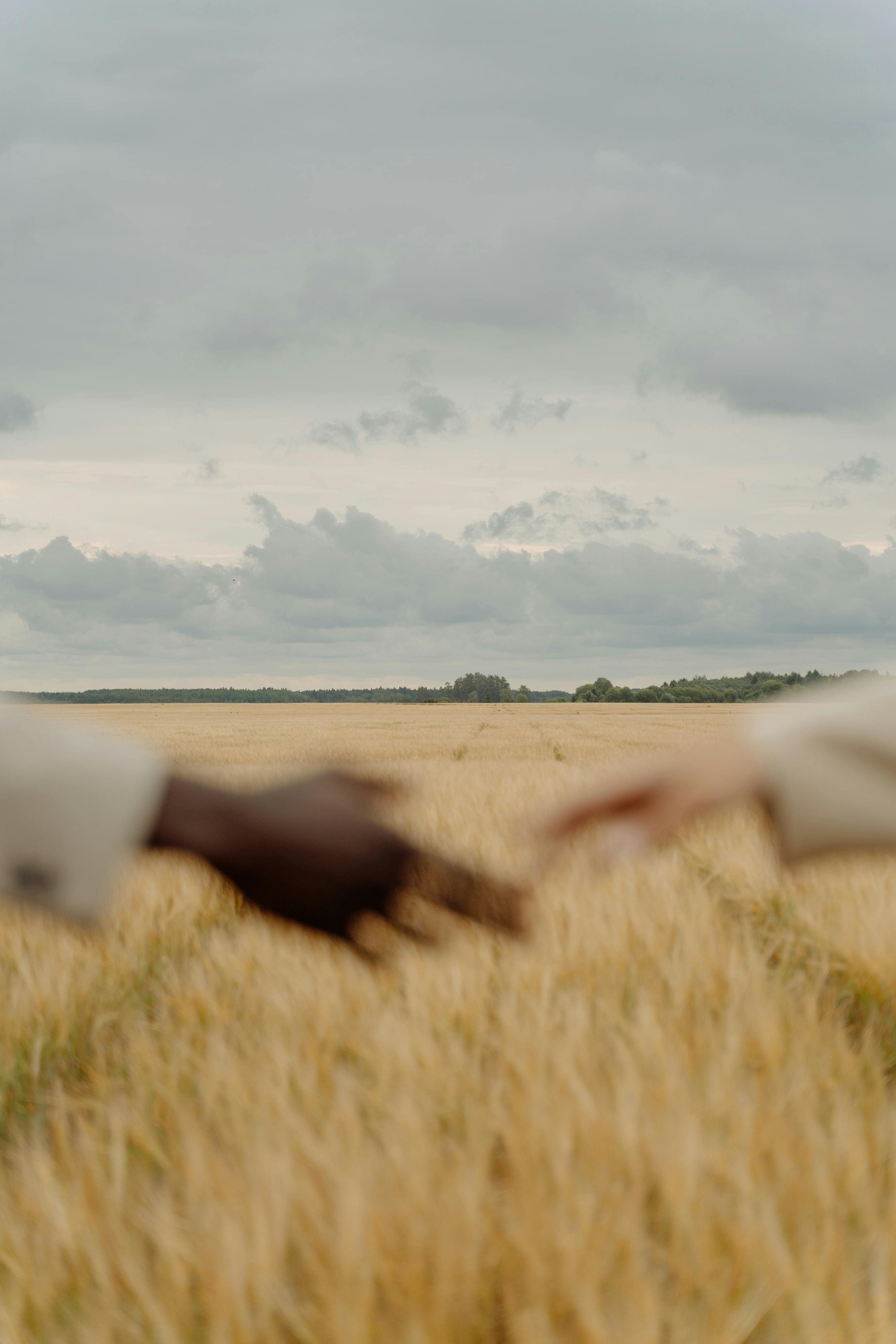 couple holding hands on a field