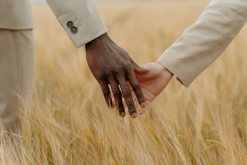 Free Person in White Dress Shirt Holding Brown Wheat Stock Photo